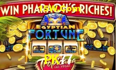 Casino Ao Vivo PK77
